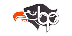 Bethel Park SD Logo