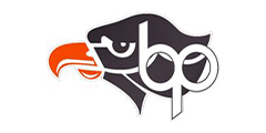 Logo SD Bethel Park